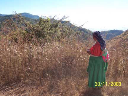 Huichol country
