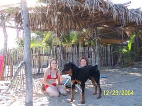 Catching some shade under the palapa
