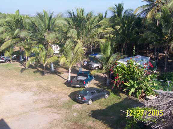 Lottsa room under the palms for tents and camping rigs