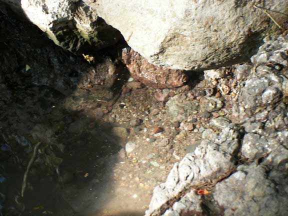 Clear water coming into lower spring pool