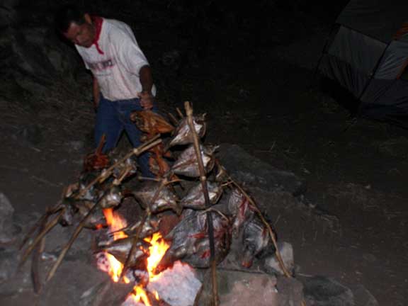 Baking fish to take back to the other Huichols still at campamento.