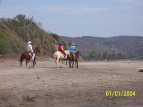 Horseback riding on the beach and trails is available at times also