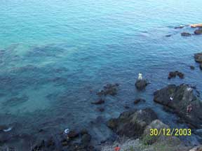 Looking down onto the reef on the Tenacatita side of the cliff.